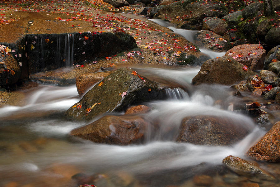 Flume Brook Photograph by Juergen Roth