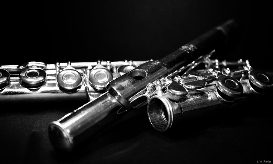 Flute Series I Photograph by Lauren Radke