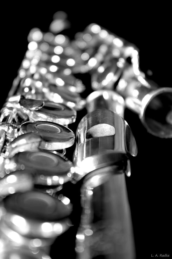 Flute Series II Photograph by Lauren Radke