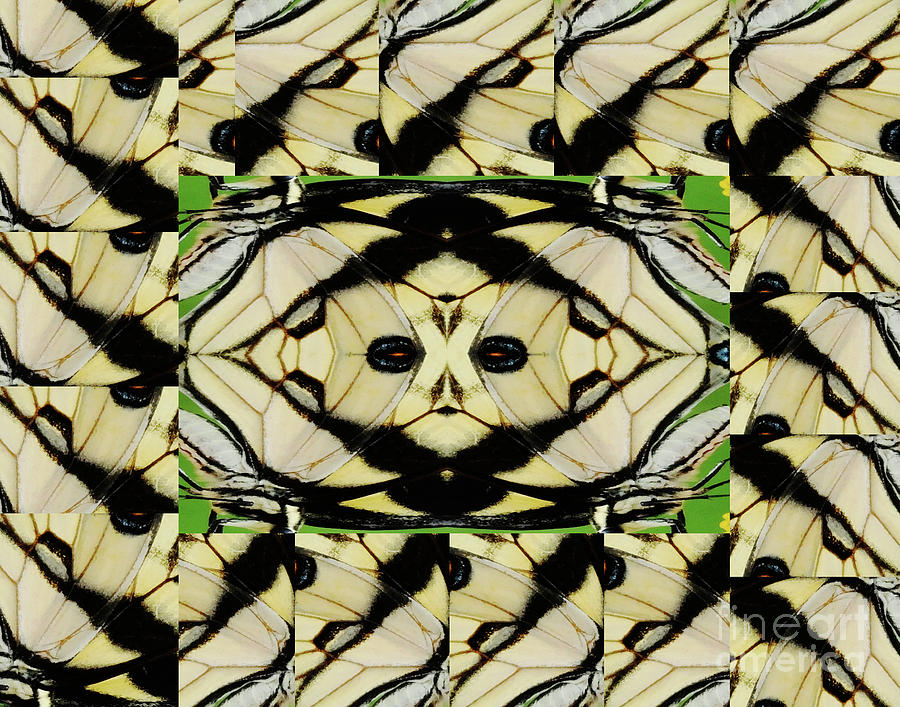 Flutterbug 1 Digital Art by Lizi Beard-Ward