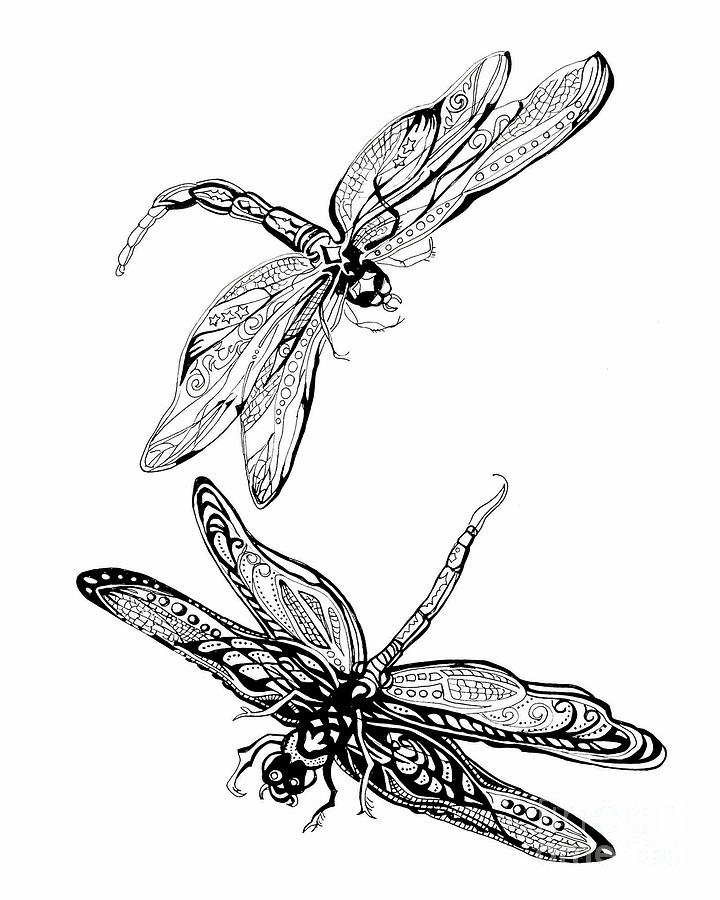 Fluttering about- Dragon Flies Drawing by Johnnie Stanfield
