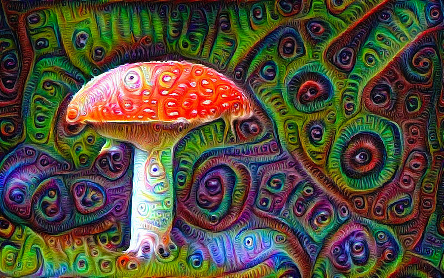 Fly agaric magic mushroom deep dream Drawing by Matthias Hauser Fine