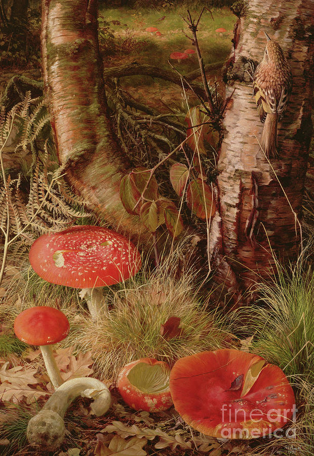 Mushroom Painting - Fly Agarics by Raymond Booth