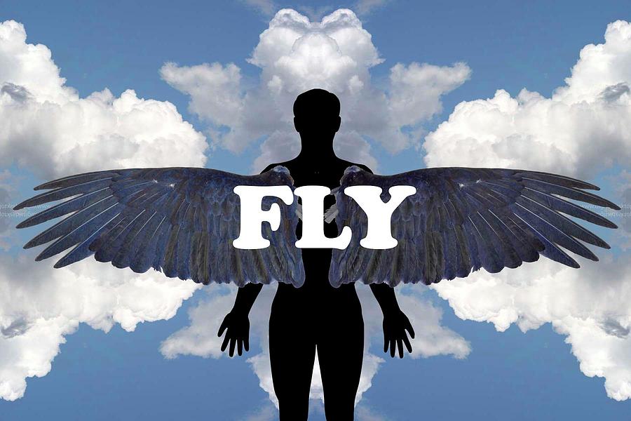 Fly Digital Art by Catherine Weser
