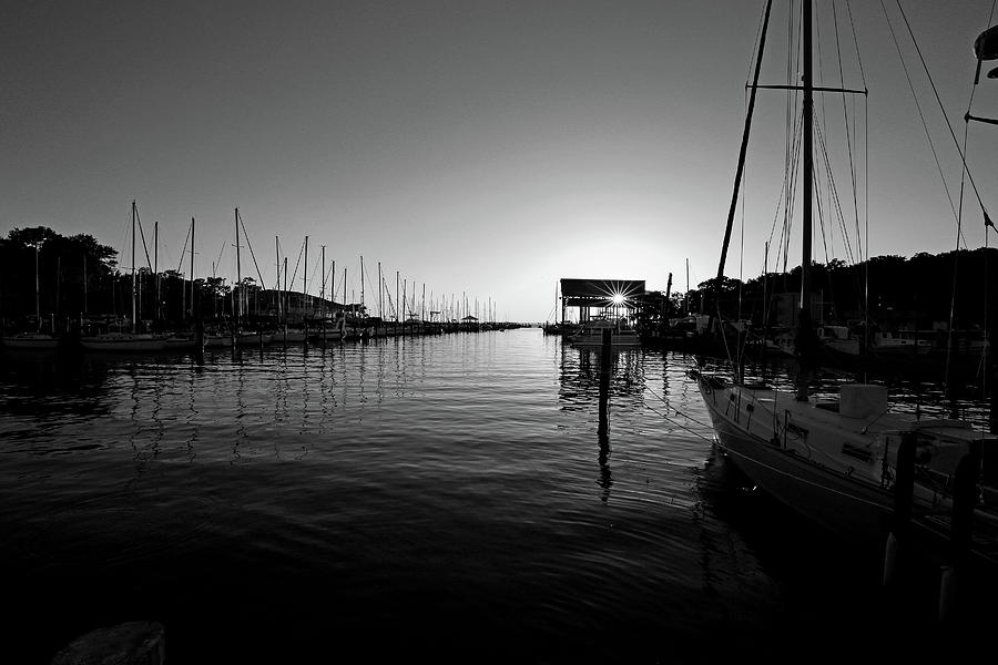 Fly Creek Marina Fairhope Alabama Black and White Photograph by Judy Vincent