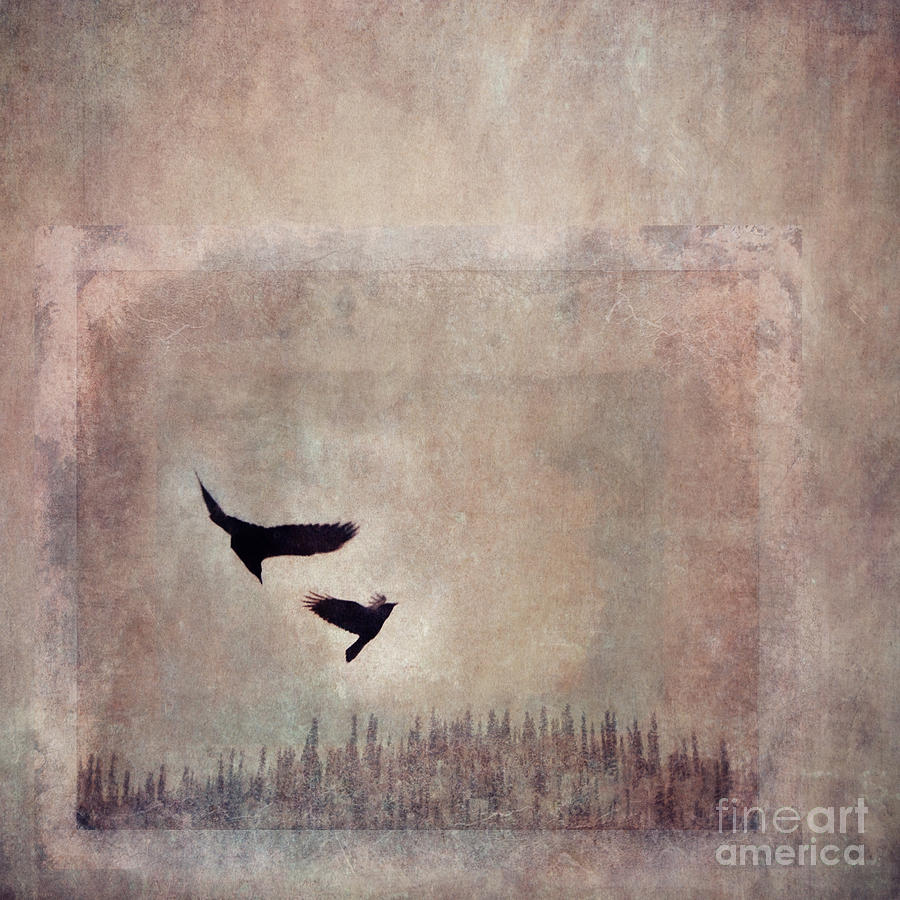 Raven Photograph - Fly Dance by Priska Wettstein