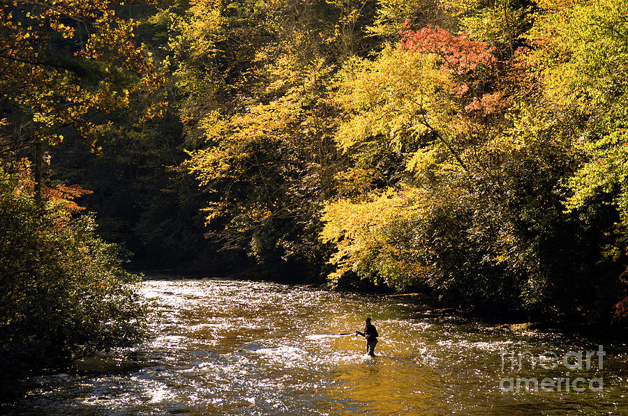 Fall Photograph - Fly Fisherman on the Tellico - D010008 by Daniel Dempster