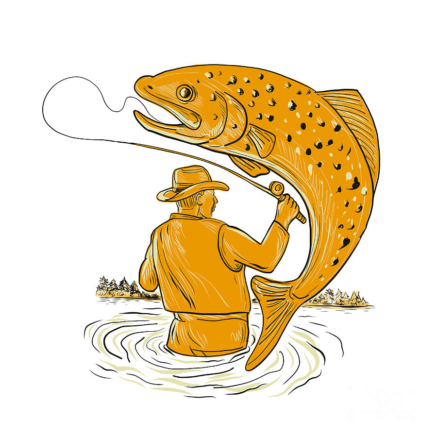 Fly Fisherman Reeling Trout Drawing Digital Art by Aloysius