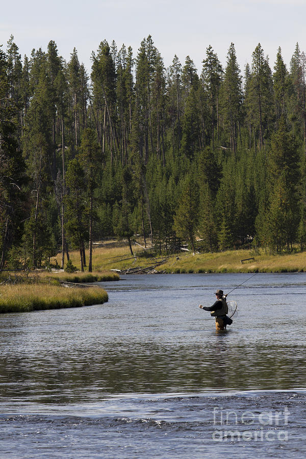 Yellowstone National Park Photograph - Fly Fishing in the Firehole River Yellowstone by Dustin K Ryan