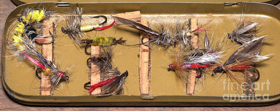 Fly Fishing Lures Photograph by Shawn Jeffries