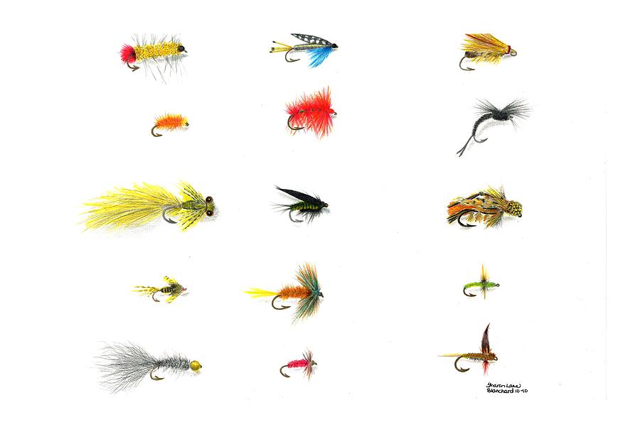 Fly Fishing Nymphs Wet and Dry Flies Drawing by Sharon Blanchard