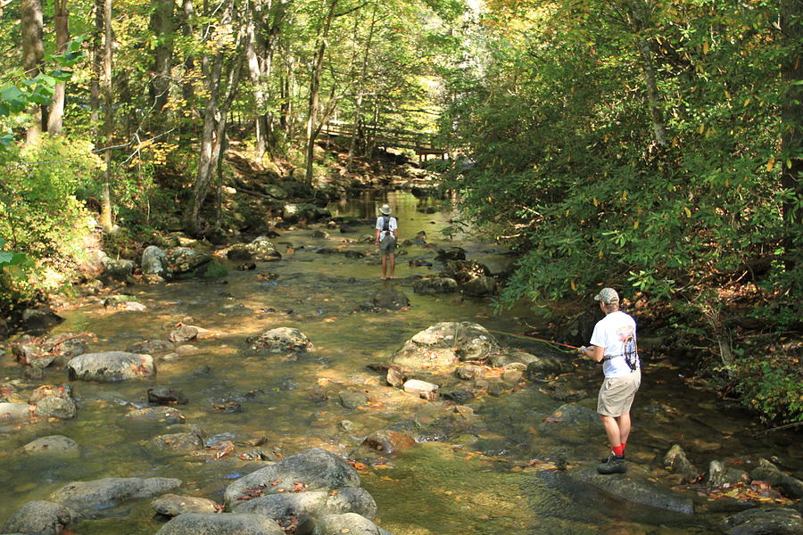 Fly Fishing on South Mountain Photograph by Karen Ruhl