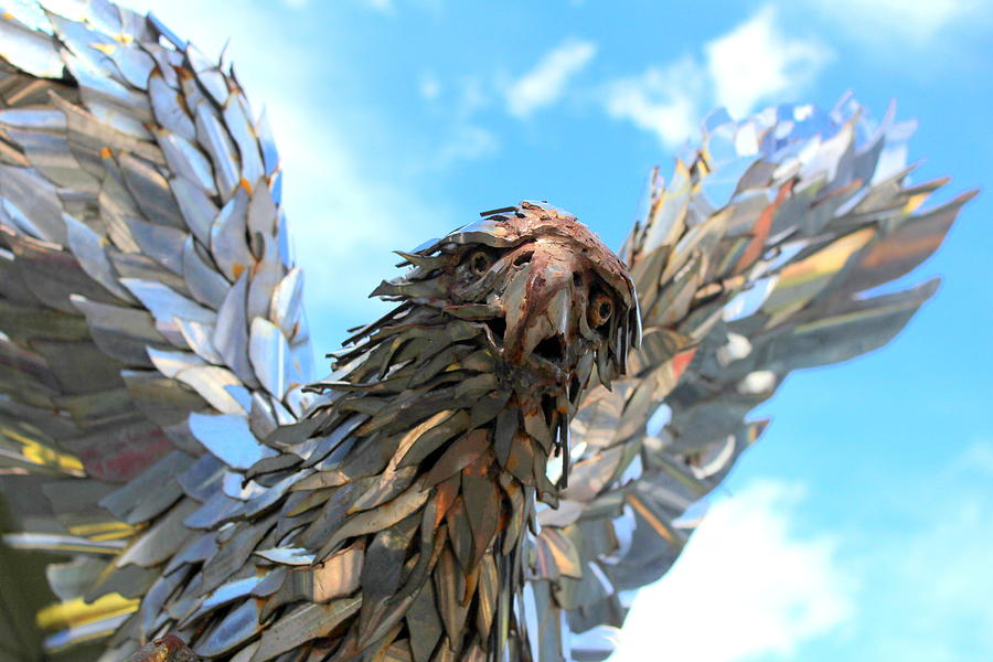 Fly Like An Eagle Photograph by Fiona Kennard