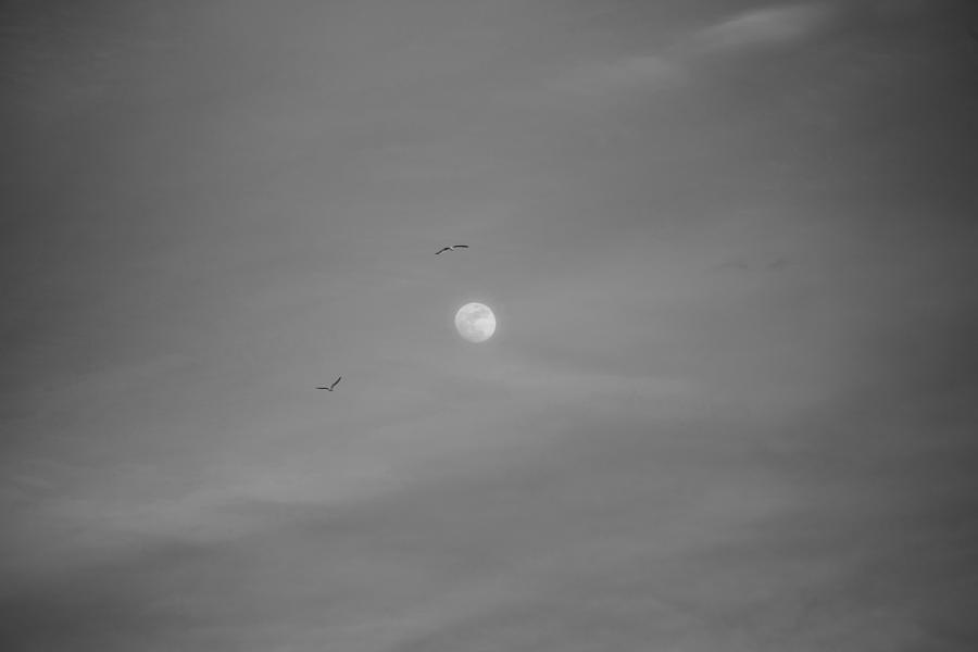 Fly me to the moon Black and White Photograph by Toby McGuire