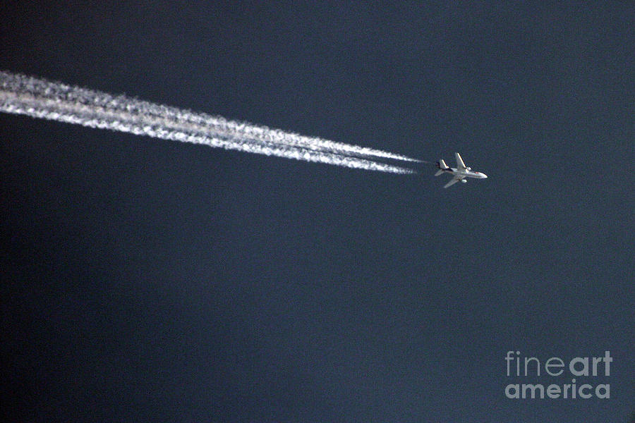 Fly Over Photograph by Joy Tudor