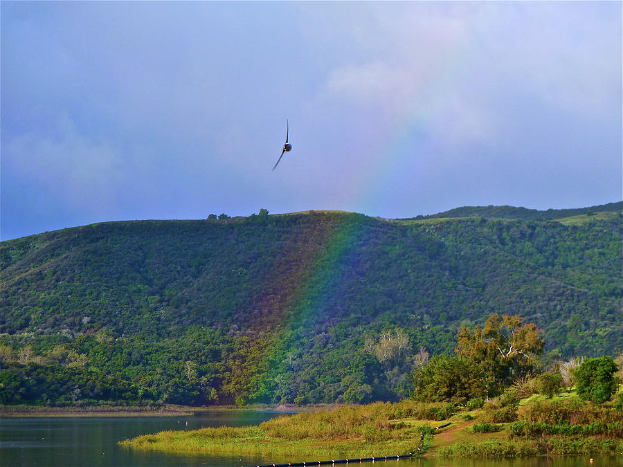 Fly Over The Rainbow Photograph by Diana Hatcher