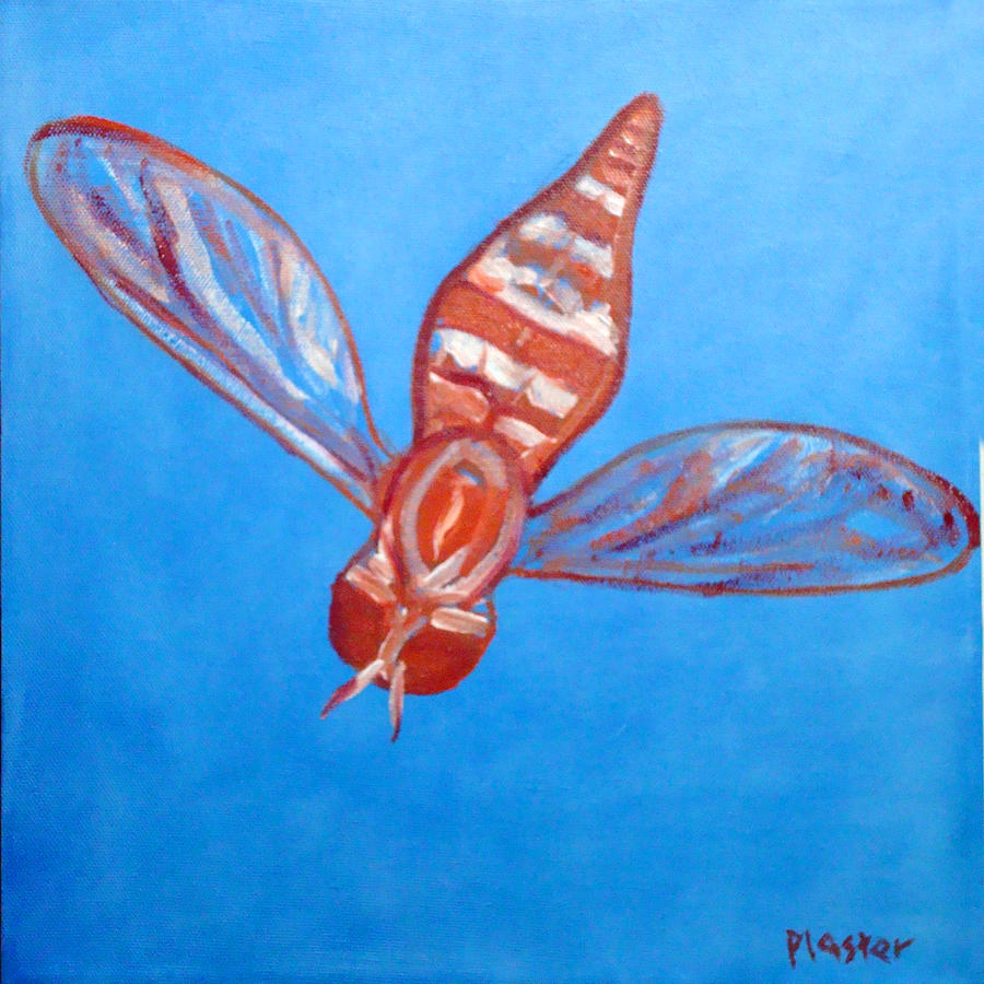 Flies Painting - Fly South by Scott Plaster Flies Painting - Fly South by Scott Plaster