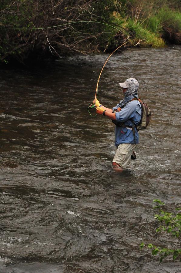 Flyfisherman with flyrod loaded by Mark Williams