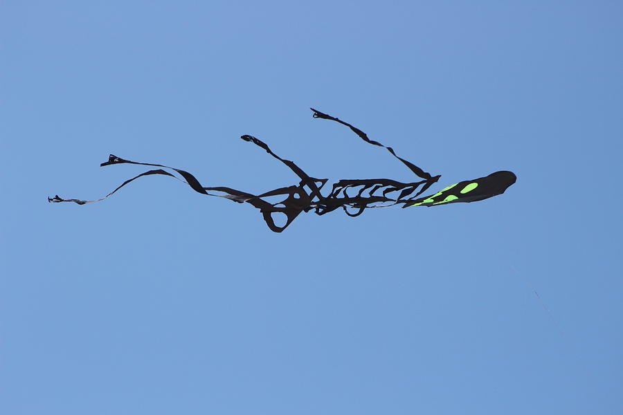 Flying Black Skeleton  Photograph by Colleen Cornelius
