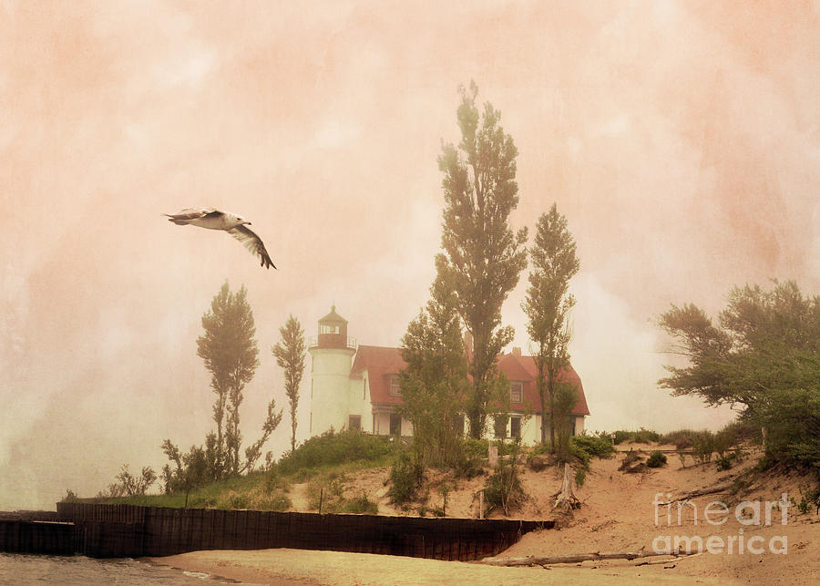 Flying By Point Betsie Lighthouse Photograph by Lydia Holly