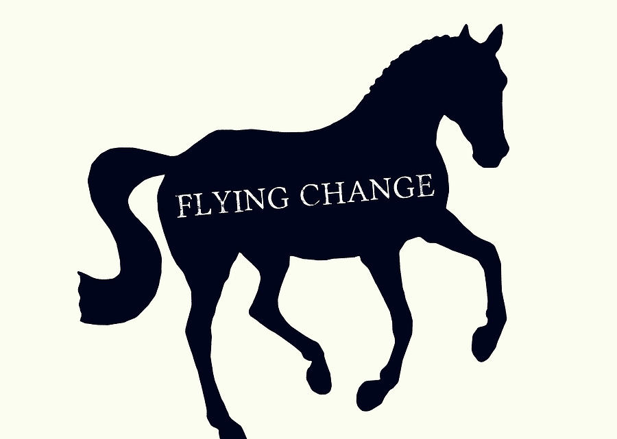 Flying Change Silhouette Photograph by Dressage Design