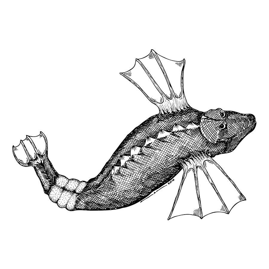 Flying Fish Drawing by Karl Addison Pixels