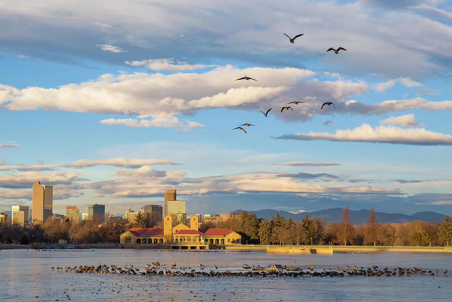 Flying Geese Over the Denver Skyline from Ferril Lake at Denver  Photograph by Bridget Calip