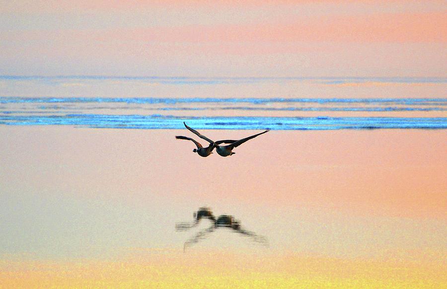 Flying Geese Two  Digital Art by Lyle Crump