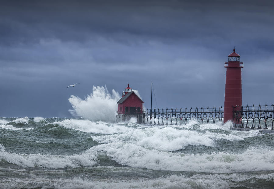 Flying Gull in a November Storm on Lake Michigan by the Grand Haven Lighthouse Photograph by Randall Nyhof