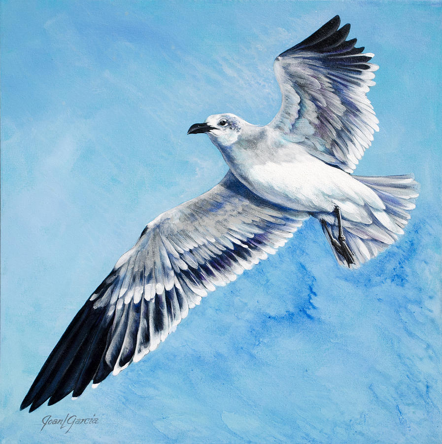 Flying Gull Painting by Joan Garcia