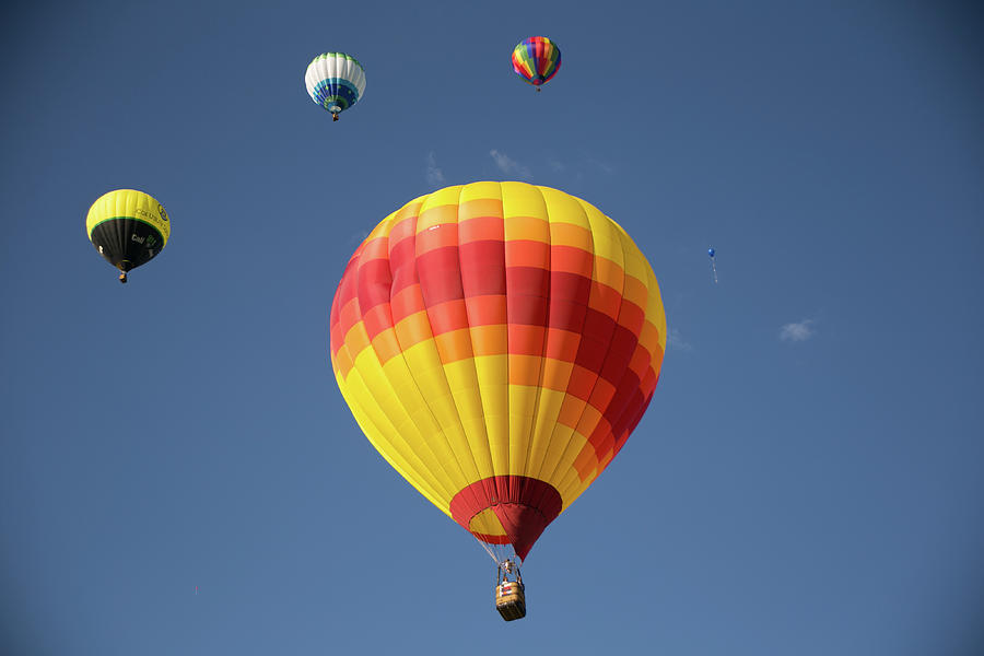 Flying High Photograph by Amy Cusack - Pixels