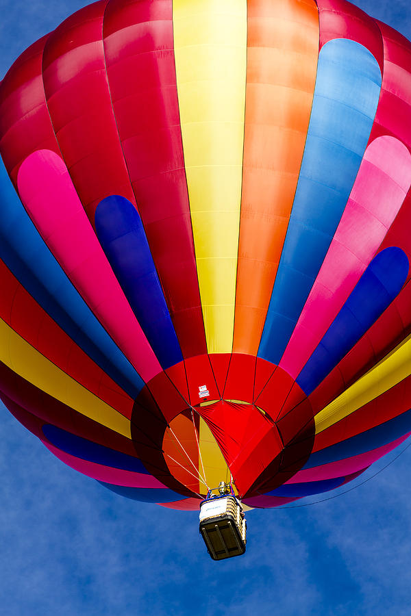 Flying High Colors Photograph by Teri Virbickis