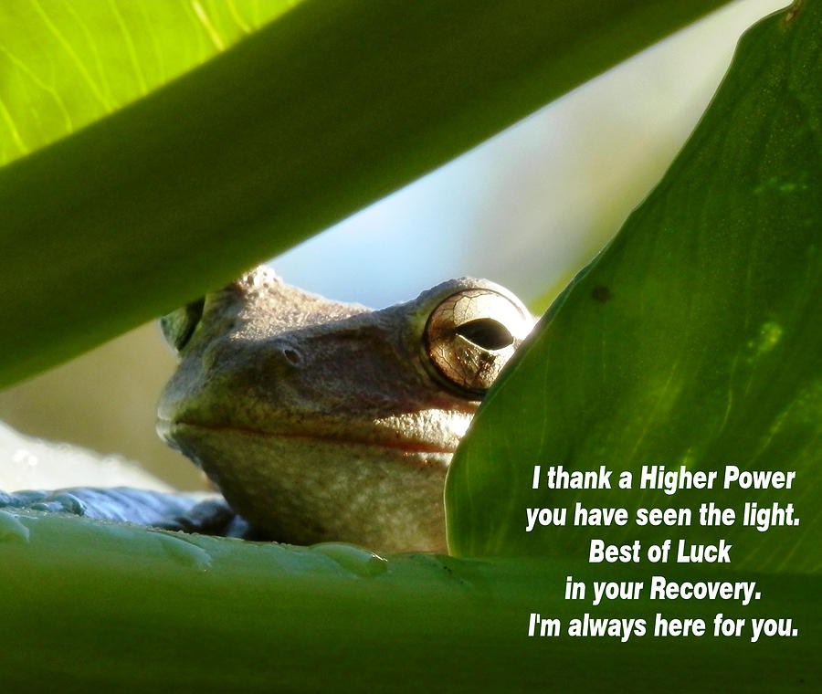 Flying High Frog Word Photograph by Belinda Lee
