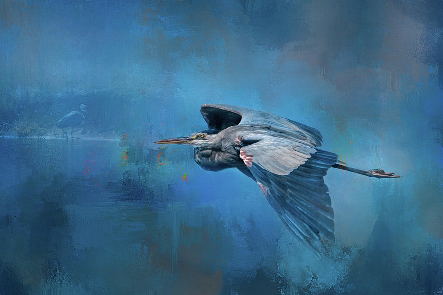 Flying Home Blue Heron Art Photograph by Jai Johnson