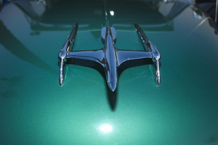 Flying Hood Ornament Photograph by Richard Henne