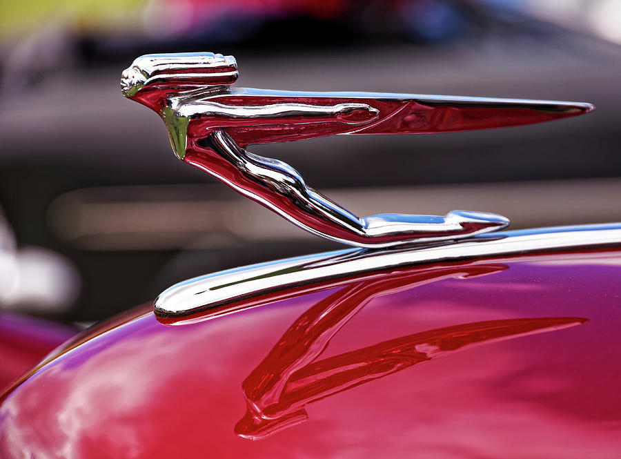 Flying Hood Ornament Photograph by Robert Urwyler - Fine Art America