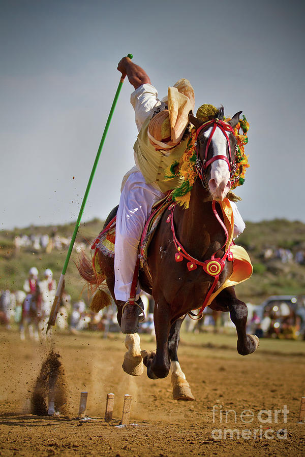 Flying Horse Pyrography - Flying Horse II by Awais Yaqub Flying Horse Pyrography - Flying Horse II by Awais Yaqub