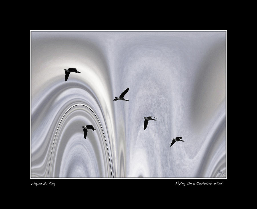 Flying in a Coriolus Wind Poster Photograph by Wayne King