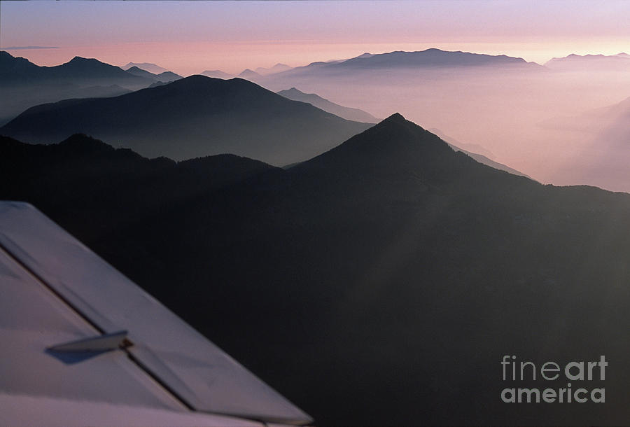 Flying in the dusk Photograph by Riccardo Mottola