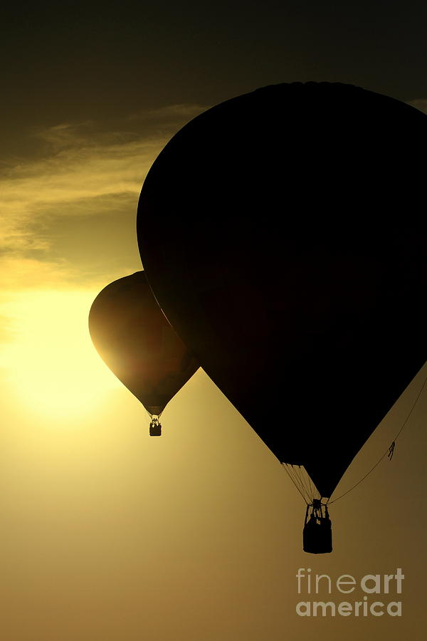 Hot Air Balloons Photograph - Flying into the Sun by Rick Rauzi