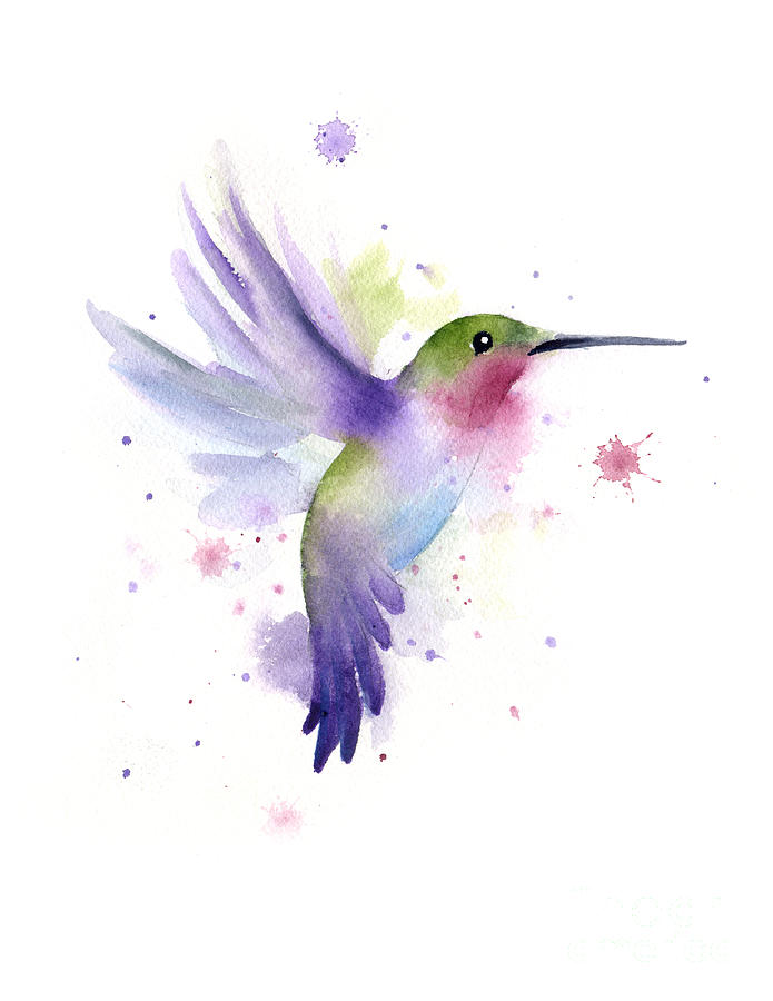 Hummingbird Painting - Flying Jewel II by David Rogers