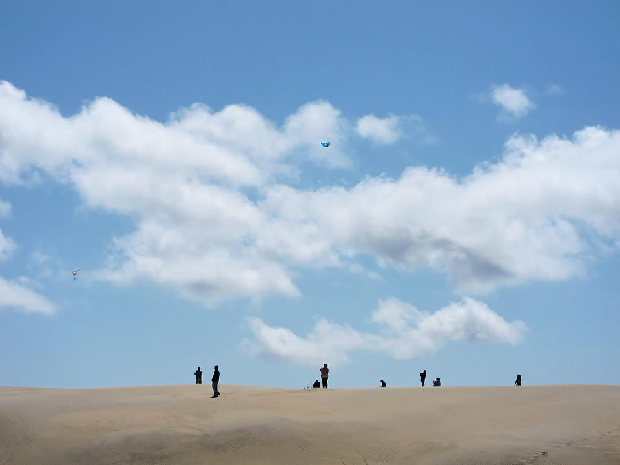 Flying Kites on Jockeys Ridge Photograph by Julie Niemela
