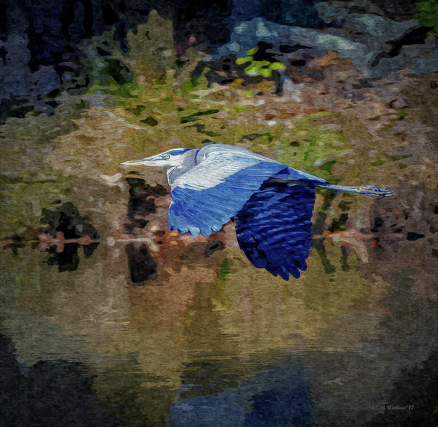Heron Photograph - Flying Low - Paint FX by Brian Wallace