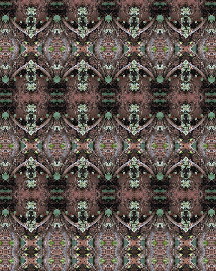 Nature Abstract Digital Art - Flying Monkeys from OZ by Julia L Wright