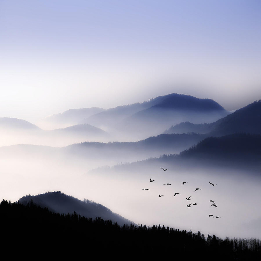 Flying Over The Fog Photograph by Philippe Sainte-Laudy