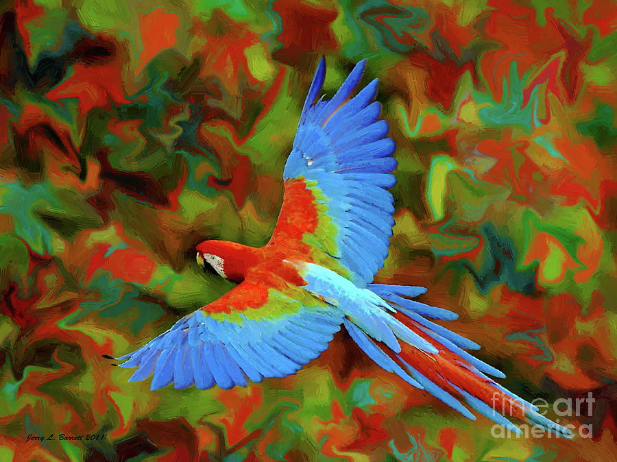 rainforest parrot flying