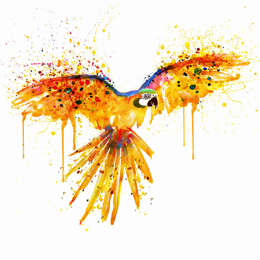 Parrot Painting - Flying Parrot watercolor by Marian Voicu