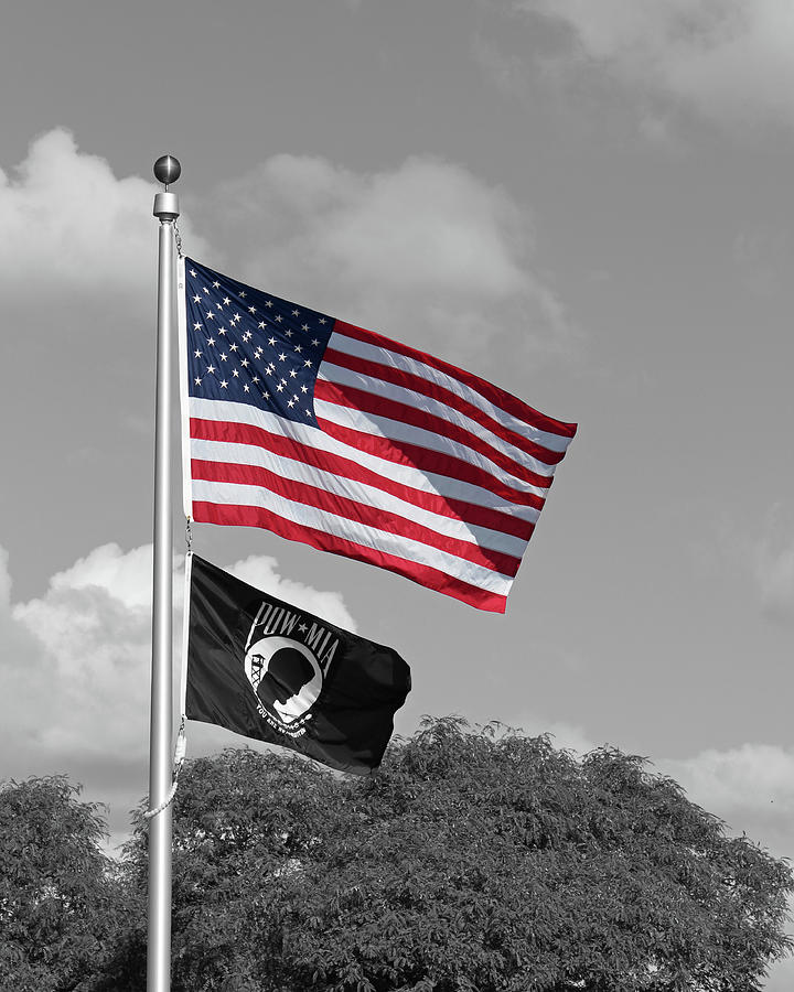 Flying Proud - reverse black and white Photograph by Lee Hart - Fine ...