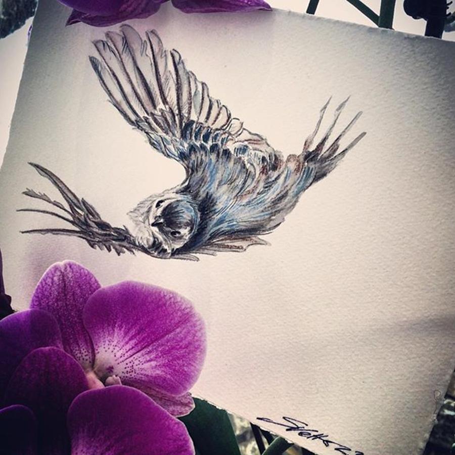 Nature Photograph - Flying Small Bird #illustration by Svetlana Vetter