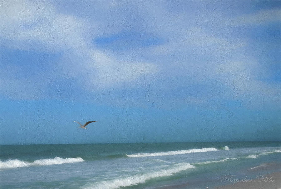 Flying Solo by Jacqueline Sleter Flying Solo by Jacqueline Sleter